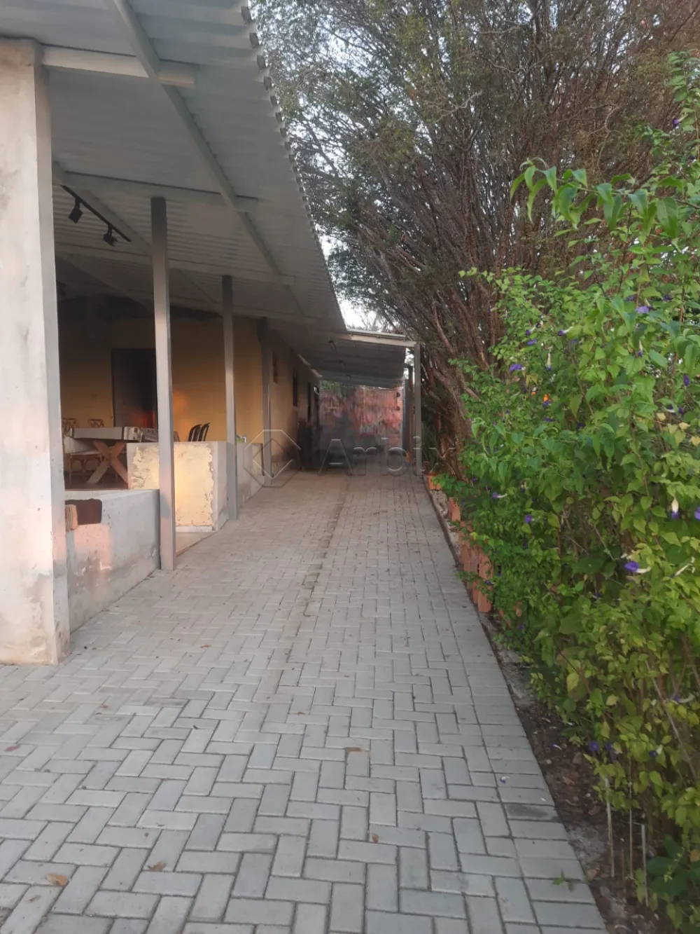 Comprar Rural / Ch&aacute;cara em Santa B&aacute;rbara D`Oeste R$ 290.000,00 - Foto 3